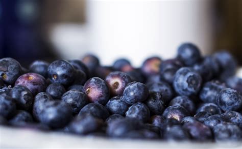 Free Images Fruit Berry Food Produce Macro Blueberry Blackberry