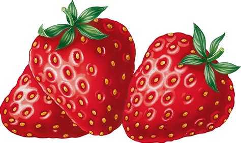Best Strawberry Clipart 6609