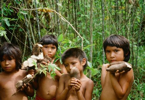 【森に暮らす】食べる、狩る、漁る 一般社団法人アマゾン資料館