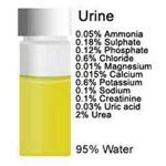Foamy Urine in The Morning - Is It A Sign of UTI?