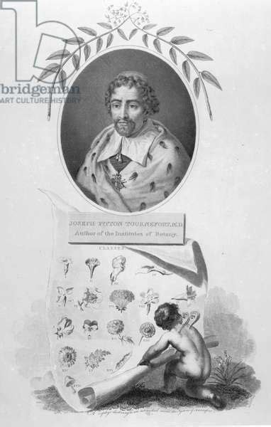 Joseph Pitton De Tournefort Engraving