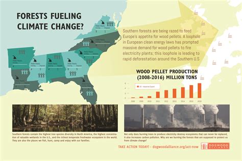 New Infographic From Dogwood Alliance Shows How Southern Us Forests Are