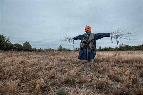 A Scary Scarecrow With A Halloween Pumpkin Head In A Field In Cloudy