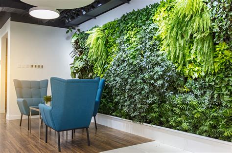 Benefits Of Office Plants Sb Projects