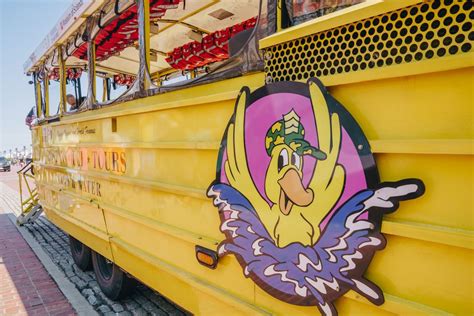 But when bj pulls the board from the bone, he becomes the new king, and merlin summons the dreaded b.o. Tips for Going On Boston Duck Tours
