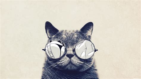 Hipster Cat Wallpapers Top Free Hipster Cat Backgrounds Wallpaperaccess