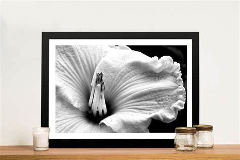 Black And White Bloom Classy Floral Artwork Wall Art Sale Online Perth Au