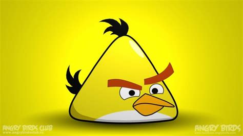 Cute Yellow Bird Wallpaper Birds 1920x1200 Download Hd Wallpaper