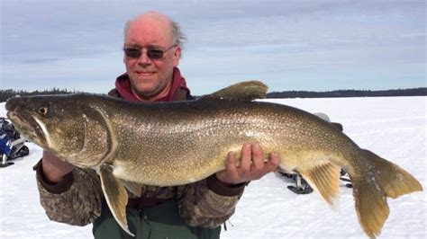 Giant Lake Trout Caught Then Released In Northwestern Ontario Lake