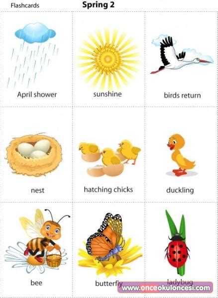 Spring Themed Printable Picture Word Flashcards Presc