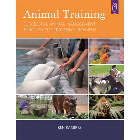 Animal Training Successful Animal Management Through Positive