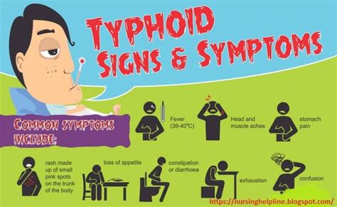 It is associated with fever caused by the salmonella enteric serotype typhi bacteria. Sign and symptoms of typhoid fever | Typhoid fever, Fever ...