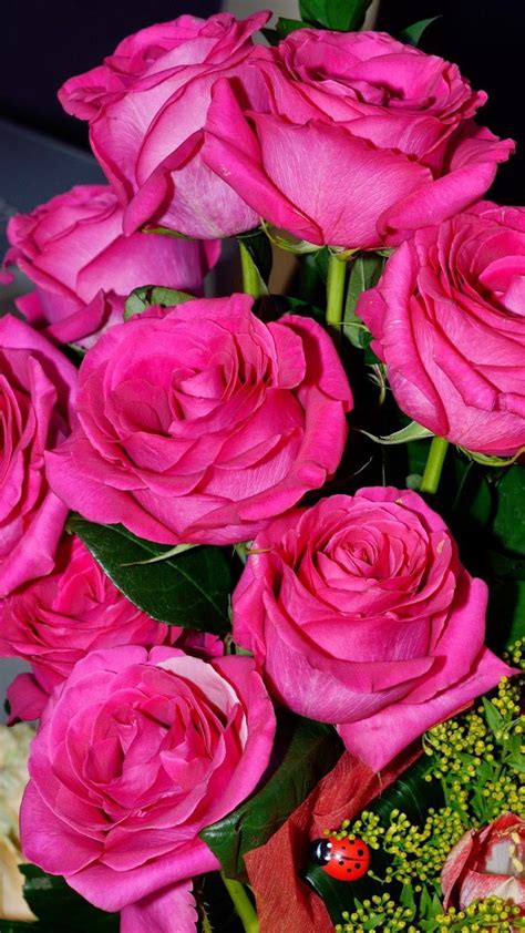 🥇 ImÁgenes De Flores And Rosas Bonitas Con Frases 2020 En 2020 Rosas