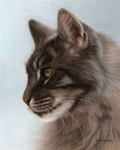 Maine Coon Painting Painting By Rachel Stribbling Fine Art America