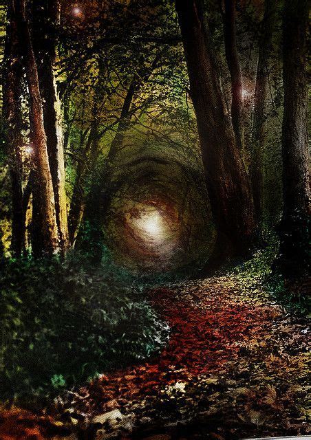 Maybe Alices Real Life Rabbit Hole Inspiration Enchanted Forest