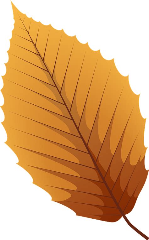 Late Fall Beech Leaf Prints Art Collectibles Giclée etna com pe