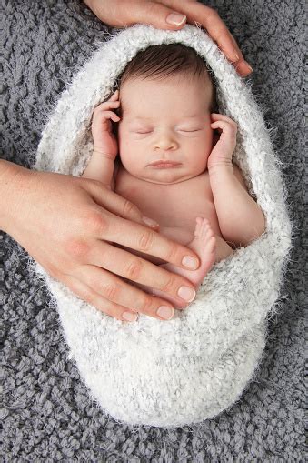 Newborn Baby Girl Stock Photo Download Image Now 2015 Baby Human