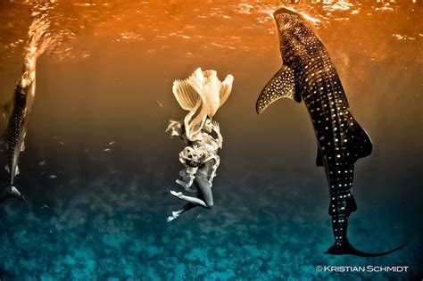 Эффектная подводная фэшн съемка с китовой акулой Китовая акула Кит