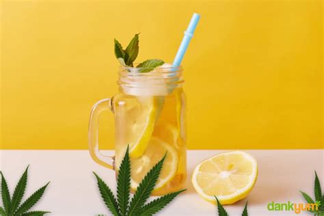 How To Make Cannabis Infused Lemonade Potent And Easy Recipe