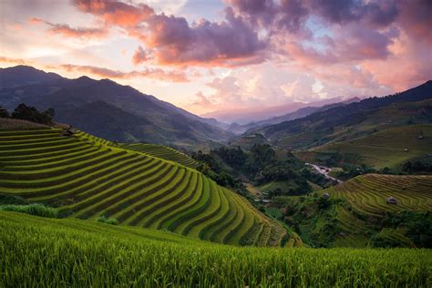 Mu Cang Chai District Rice Field 1080p Vietnam Hills Asia Hd