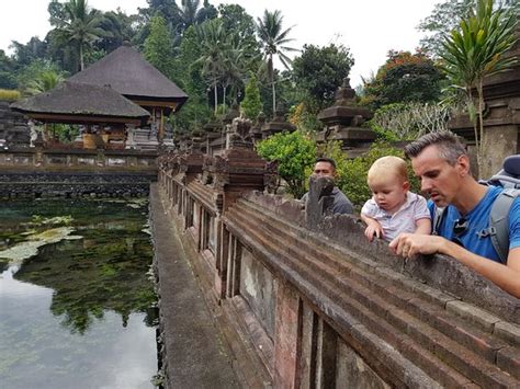 Balis Top Drivers Tours Ubud All You Need To Know Before You Go