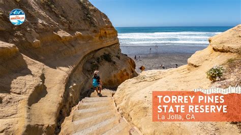 A Complete Guide To Visit Torrey Pines State Reserve La Jolla Ca