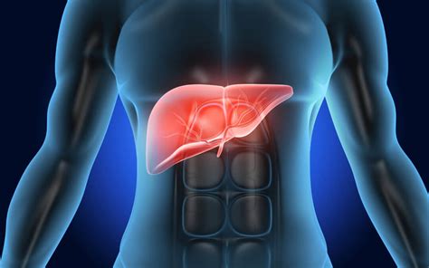 The Functions Of The Liver And Signs You Need To Detox Patriotdirect