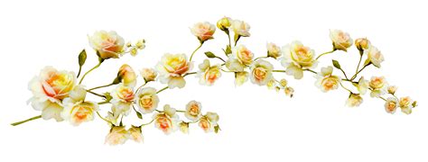 Flower Clip Art Yellow Flowers Branch Png Download 35001333 Free