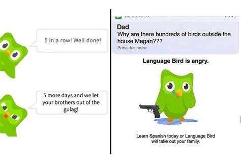 Duolingo Meme Template