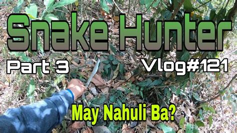 Lahat Ng Gubat May Ahas Solo Trek Part 3 Vlog121 Youtube