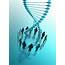 Genetic Engineering Photograph By Victor Habbick Visions/science Photo 
