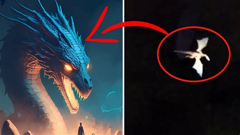 कैमरे मे कैद असली Dragon Real Life Dragon Caught On Camera Caught On
