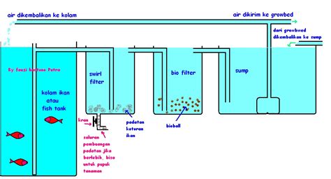 Sistem filter kolam koi ini sangat penting untuk tetap menjaga kesehatan ikan koi yang anda pelihara didalamnya. Cara Membuat Filter Kolam Akuaponik
