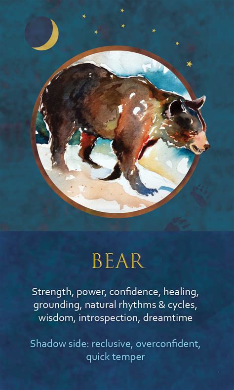 Spirit Animal Awareness Oracle Cards Bear Animal Totem Spirit