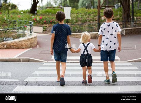 Children Boy Brothers Siblings Holding Hands And Crossing Crosswalk
