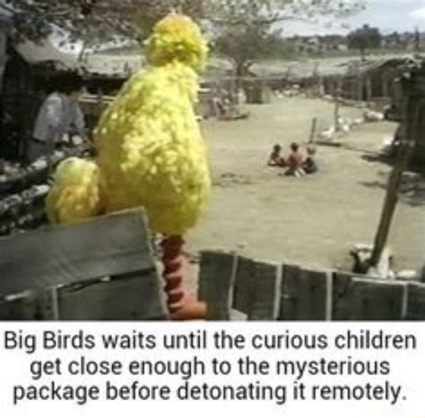 The best big bird memes :) Memedroid