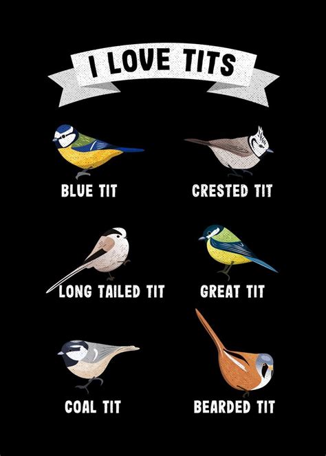 I Like Tits Funny Bird Poster By Philip Anders Displate