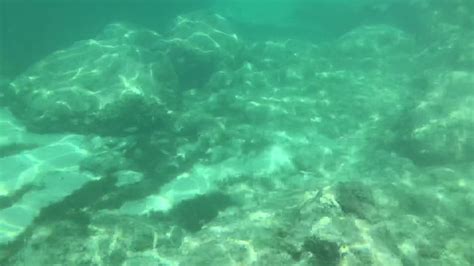 Snorkeling Princess Cays Bahamas 52519 Youtube