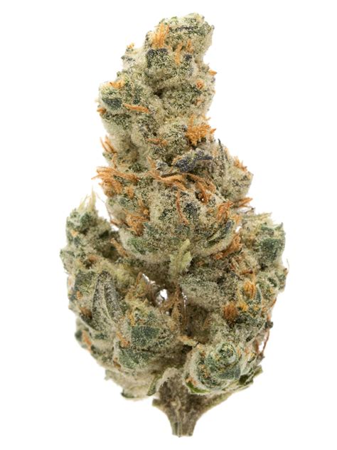 GMO Cookies (aka GMO, Garlic Cookies) Weed Strain Information | Weedmaps