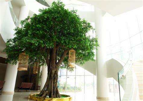 Alberi ornamentali da interno o appartamento. Cheap Big Artificial Banyan Decorative Tree Large Outdoor ...