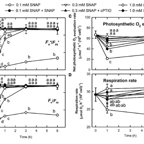 Changes In Photosynthetic Activity And Respiration Rate In Response