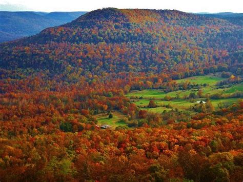 An Autumn Scene In The Mountains With Colorful Trees