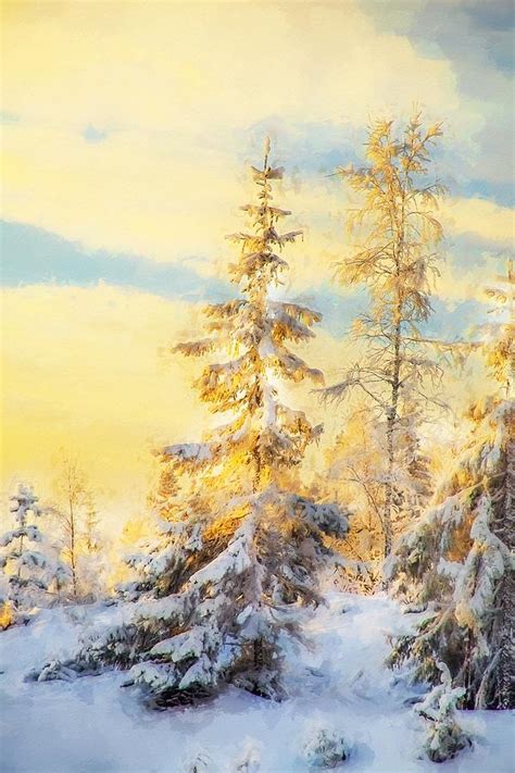 Magical Winter Landscape Photograph By Rose Maries Pictures Fine Art