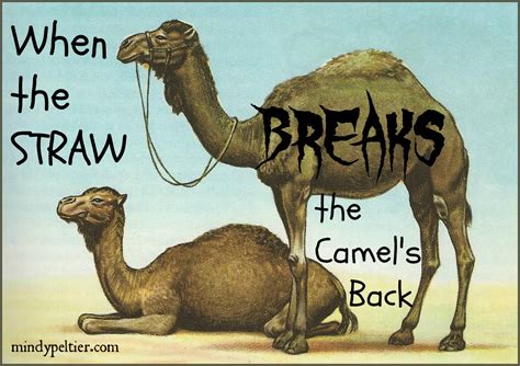 when the straw breaks the camel s back ~ mindy peltier
