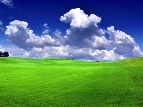 Green Landscape Wallpaper 1600x1200 53364