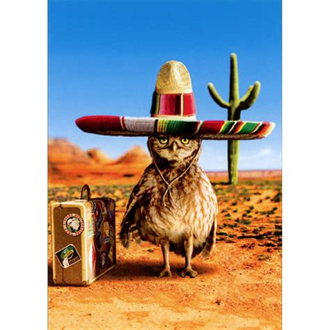 Avanti Press Owl Sombrero Funny Birthday Card