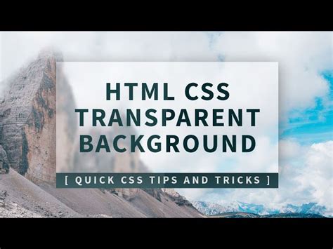 546 Css Transparent Background Not Working Pics Myweb