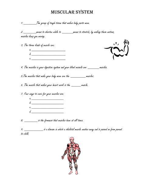 Worksheets For Muscles