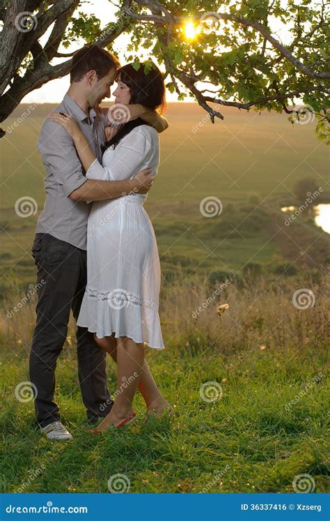 Two Sweethearts Kissing Under Tree At Sunset Stock Photo Image Of