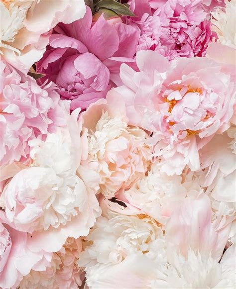 Aesthetic Floral Wallpaper For Ipad Pink Flowers Aesthetic Desktop